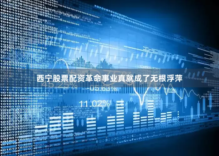 西宁股票配资革命事业真就成了无根浮萍