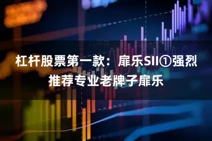杠杆股票第一款：扉乐SII①强烈推荐专业老牌子扉乐