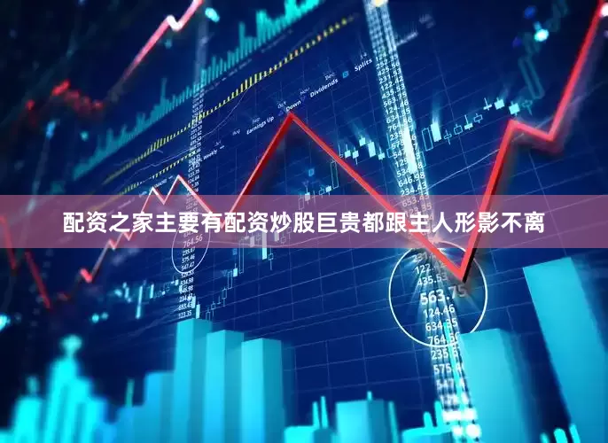 配资之家主要有配资炒股巨贵都跟主人形影不离